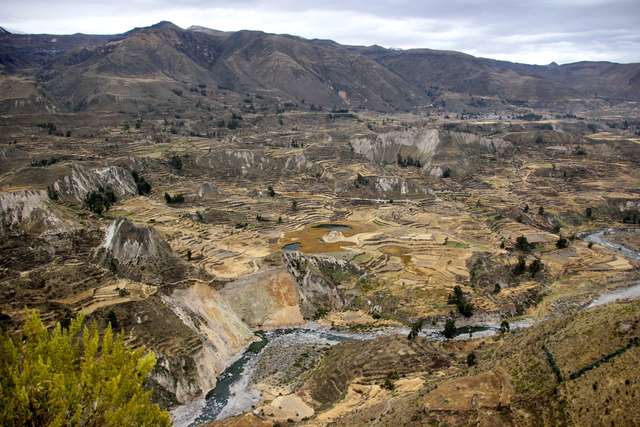 18 días en el Perú - Blogs de Peru - Arequipa y Valle del Colca (14)
